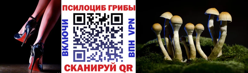 Псилоцибиновые грибы Psilocybe что такое наркотик Серафимович